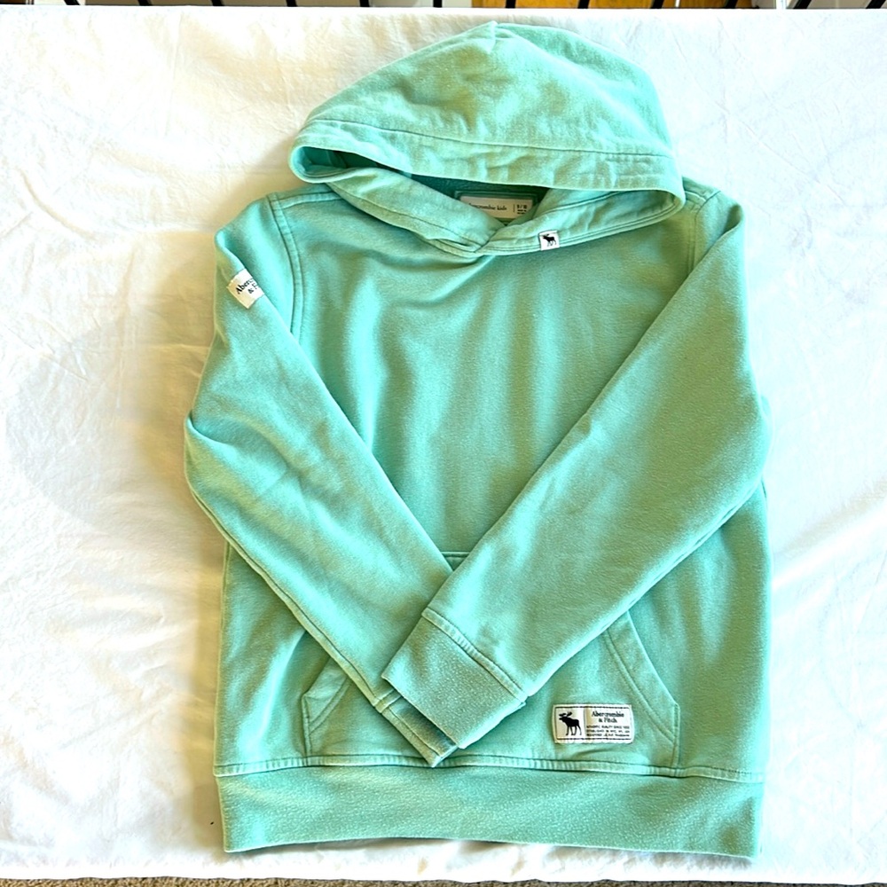 Boys A&F essential icon pullover hoodie